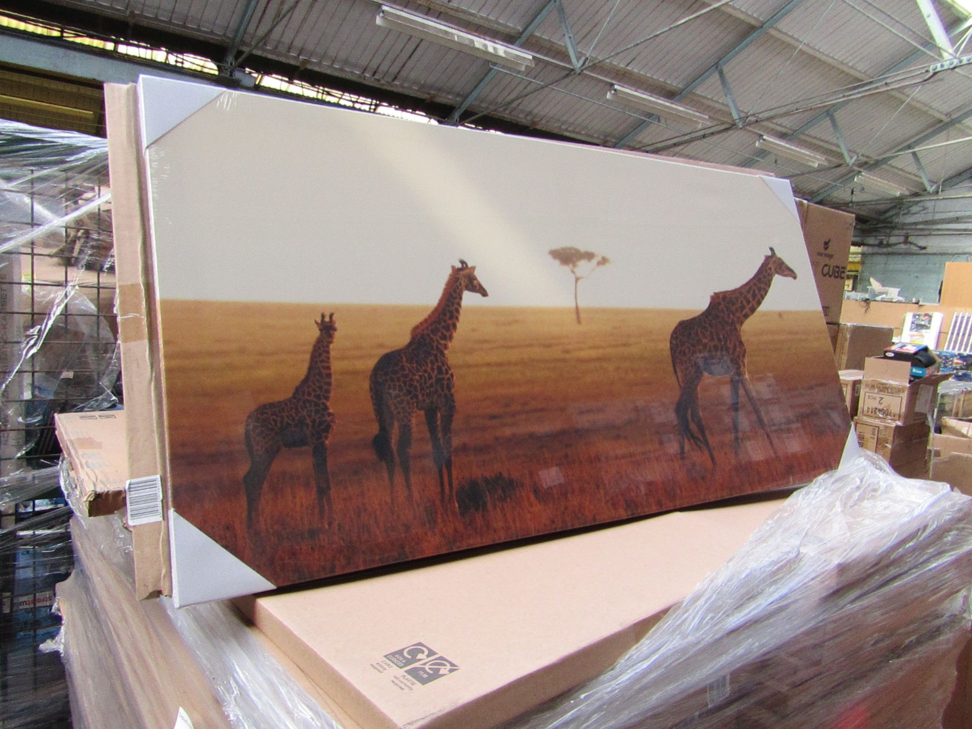 Pallet of approx 140 Savannah Scene canvas prints, new