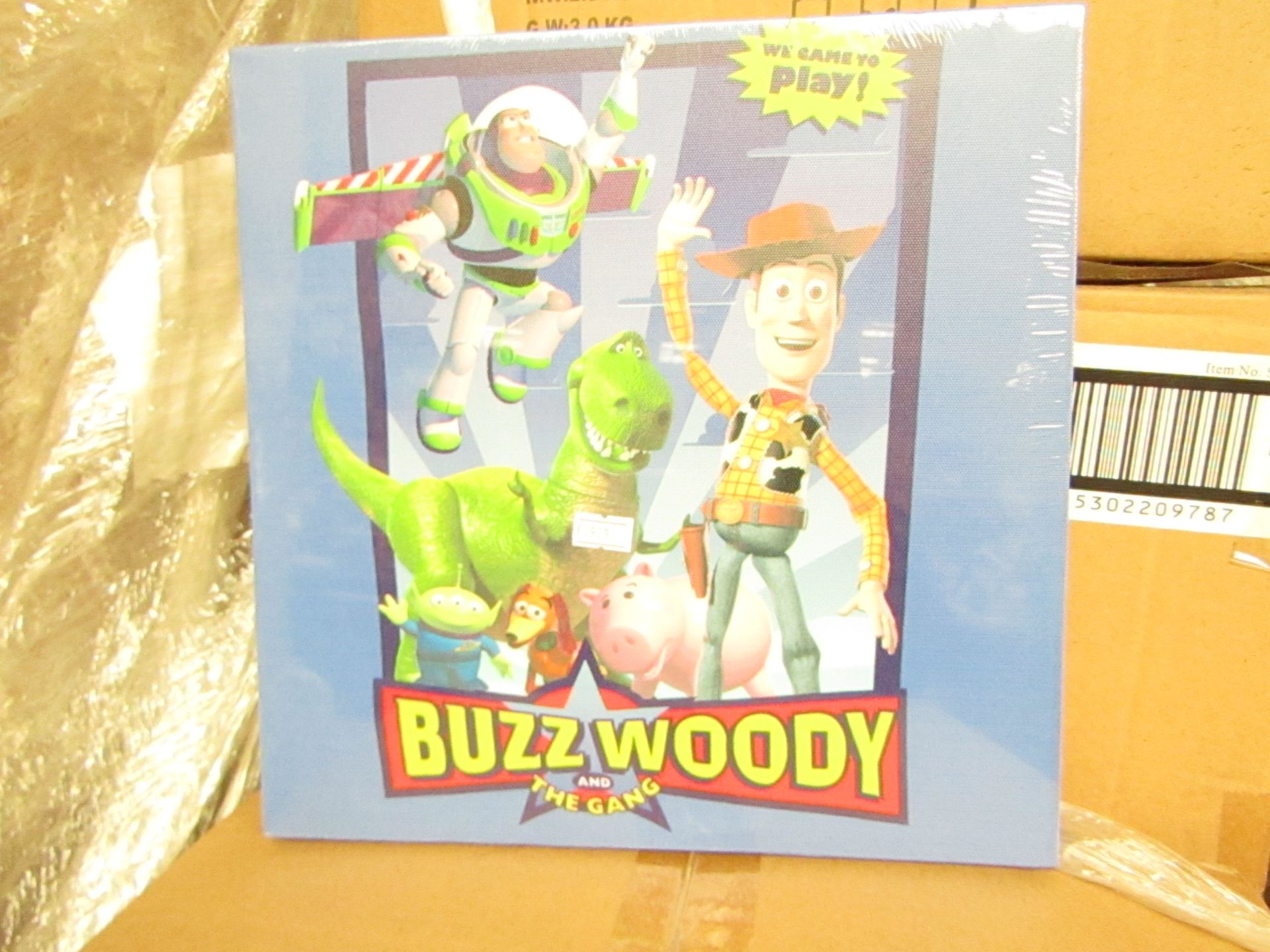 12x Toy Story - Infinity Canvas's - All Packaged & Boxed.