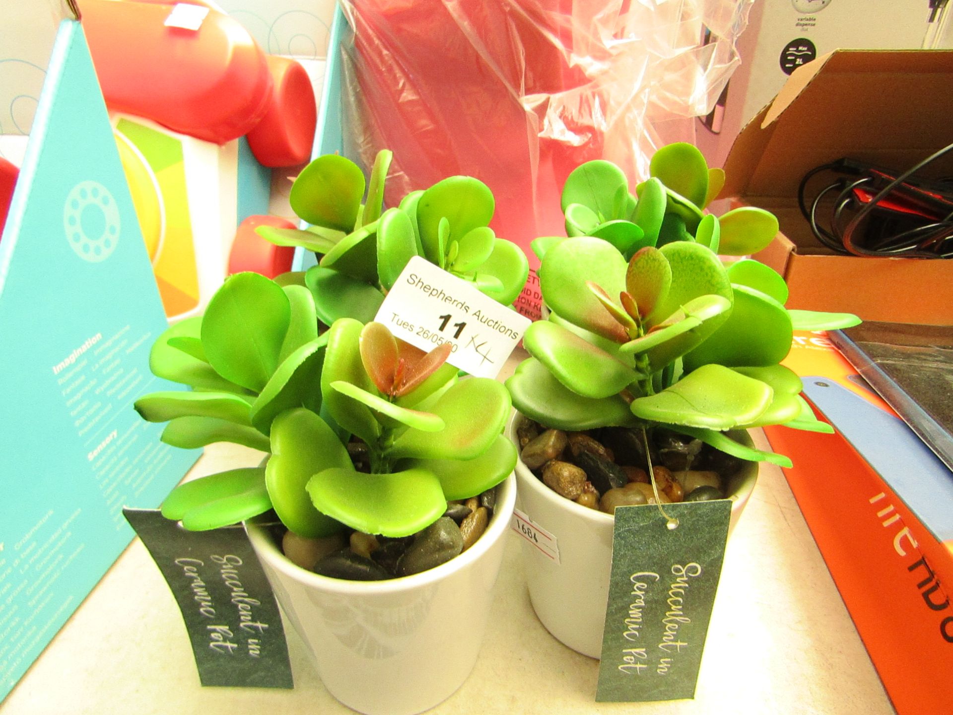 Set of 4 Dunelm Succulent Artificial Plants In Ceramic Pots. New with tags