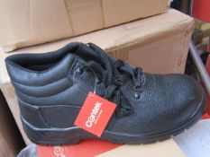 centek steel toe cao shoe size 11,new and boxed