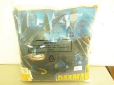 Batman & Robin Cushion. New & Packaged