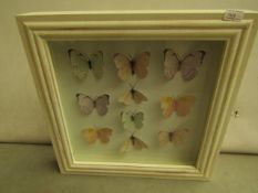 Butterfly Picture - 30cmx30cm - Good Condition.