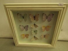 Butterfly Picture - 30cmx30cm - Good Condition.