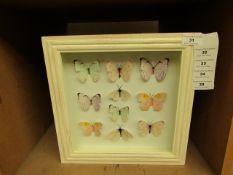 Butterfly 3D Wall Art. New