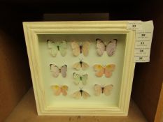 Butterfly 3D Wall Art. New