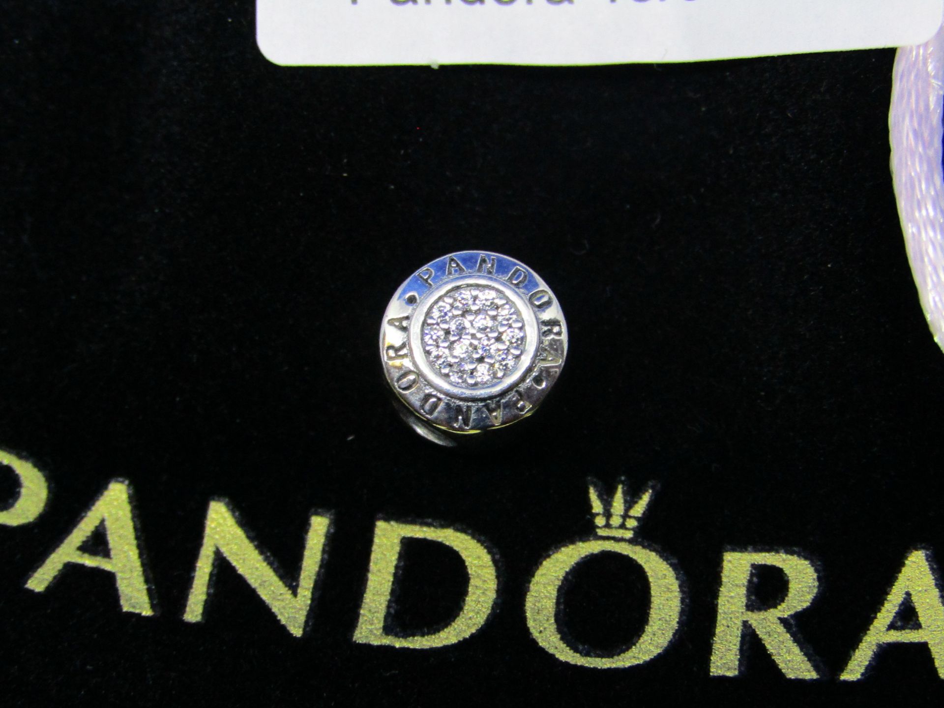 Pandora Charm in branded felt bag, new, please see picture for style.