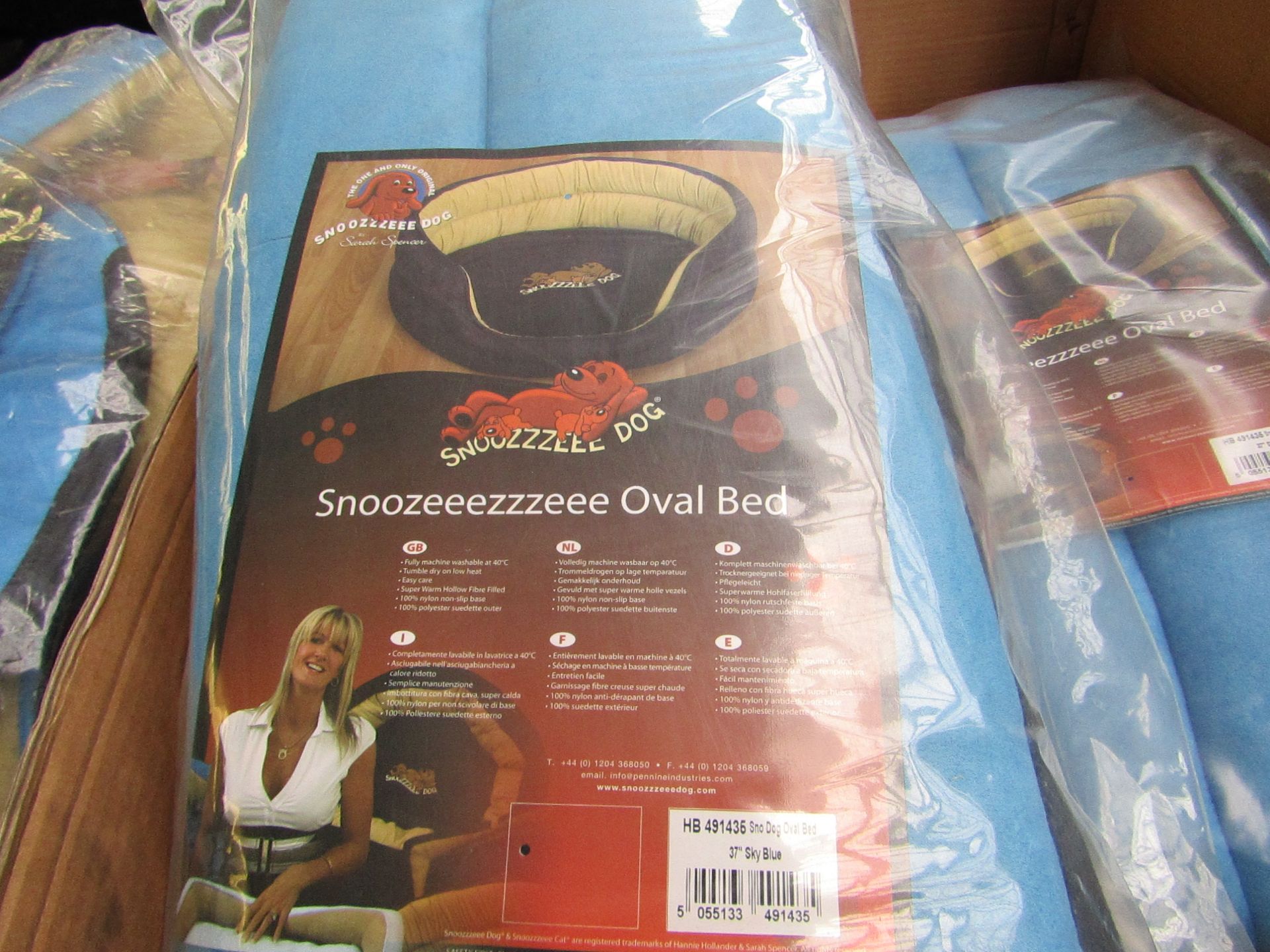 5x Snoozzzeee Dog - Oval Sky Blue Dog Bed (37") - All New & Packaged.