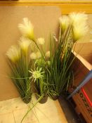 3x Various Plants - Good Condition.