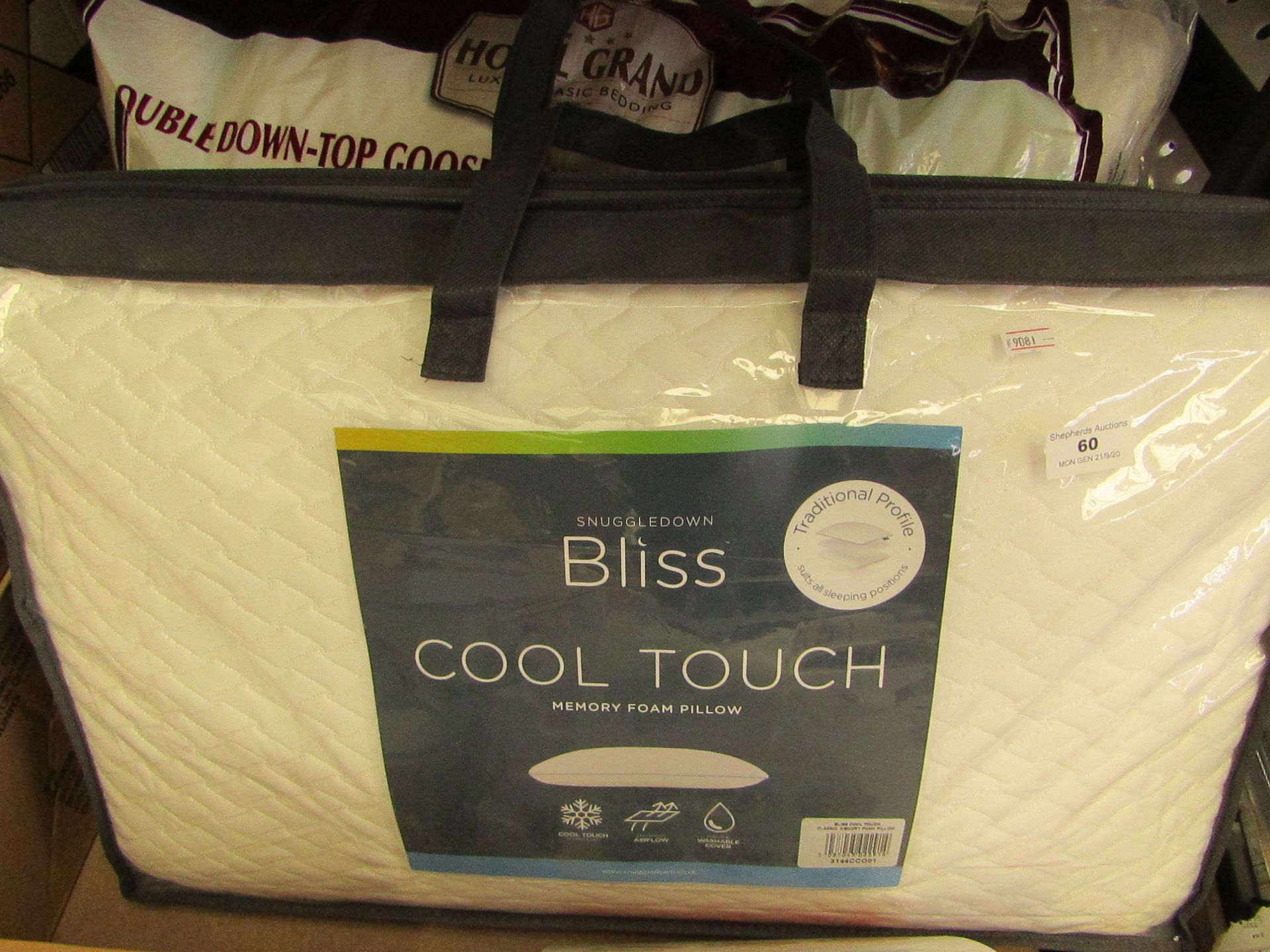 Snuggledown Bliss Cool Touch Memory Foam Pillow. Comes in a carry bag
