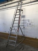 Ramsey Ladders Ltd 12-rung stepladder