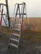 Ramsey Ladders Ltd 7-rung stepladder