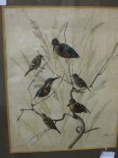 Framed & glazed watercolour of Kingfishers & Sparrows & a framed & glazed watercolour of foliage,