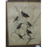 Framed & glazed watercolour of Kingfishers & Sparrows & a framed & glazed watercolour of foliage,