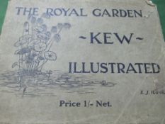 Illustrations of The Royal Botanical Gardens, Kew, photographs by E J Wallis, notes by Herman