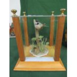 Derek Chick porcelain ‘model 7’ Coaltit with wild violets in display case with certificate,
