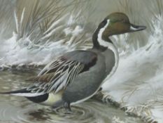 Framed & glazed watercolour of a duck signed Basil Ede, 1964; framed & glazed watercolour of a