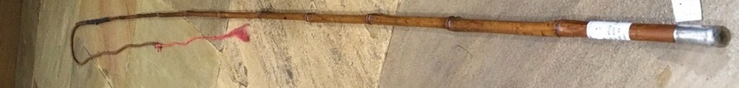 Bamboo driving whip with new thong and lash using whalebone as original, silver hallmarked ferrule