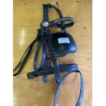 Cob size leather bridle