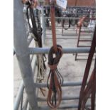 Leather driving pony reins, 128ins long