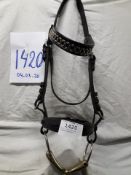 Full size driving bridle with bit