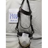 Full size driving bridle with bit