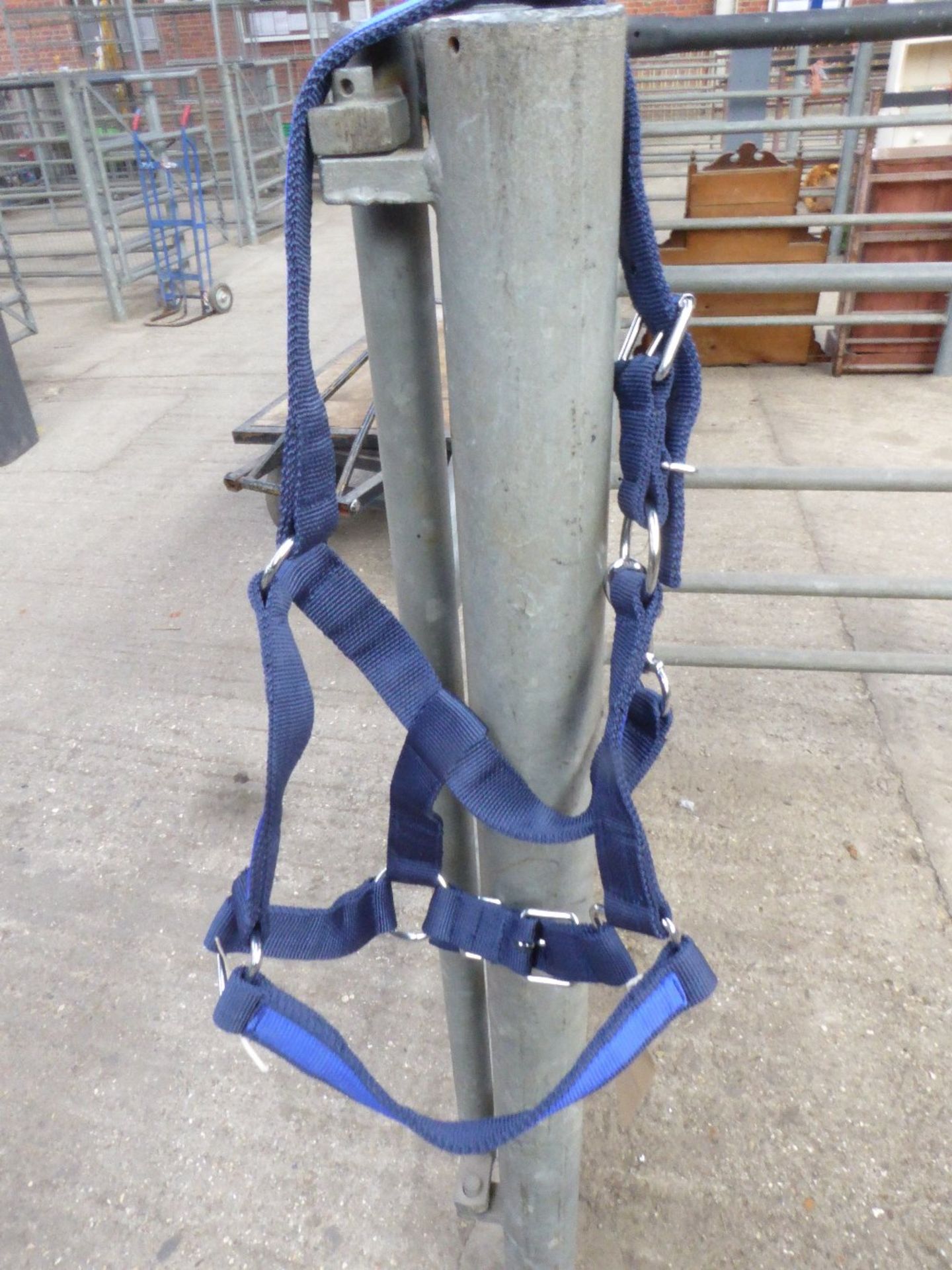 Nylon Shire headcollar