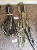 Two pairs of long reins