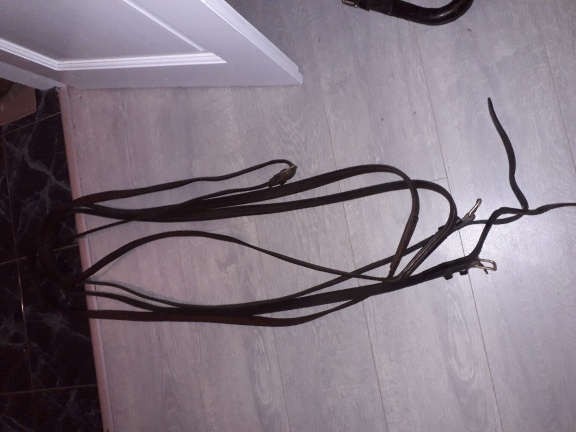 Set of English reins, 30ft; in good condition