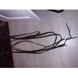 Set of English reins, 30ft; in good condition