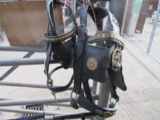 Two driving bridles