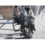 Two driving bridles