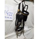 Black/brass driving bridle with bit