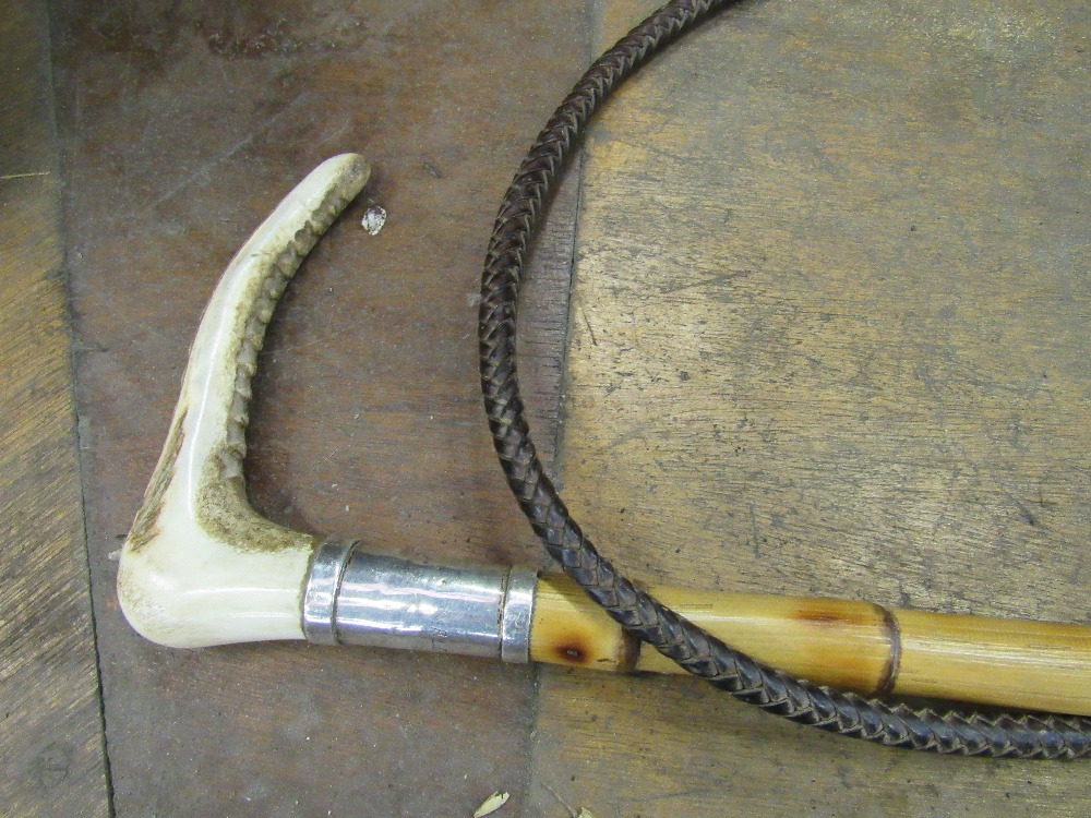 A gent's bamboo hunt crop with thong, a stag's horn handle and hallmarked silver collar dated - Image 2 of 2