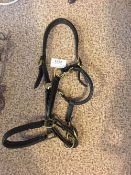 Leather headcollar