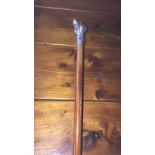 Victorian Malacca cane with silver top depicting a hunting dog (view in security pen)