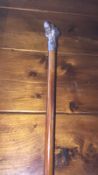 Victorian Malacca cane with silver top depicting a hunting dog (view in security pen)