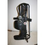 Scotch bridle