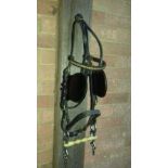 Black leather driving bridle