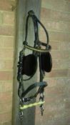 Black leather driving bridle