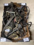 Box of old harness with brass fittings and driving and riding bits