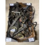 Box of old harness with brass fittings and driving and riding bits