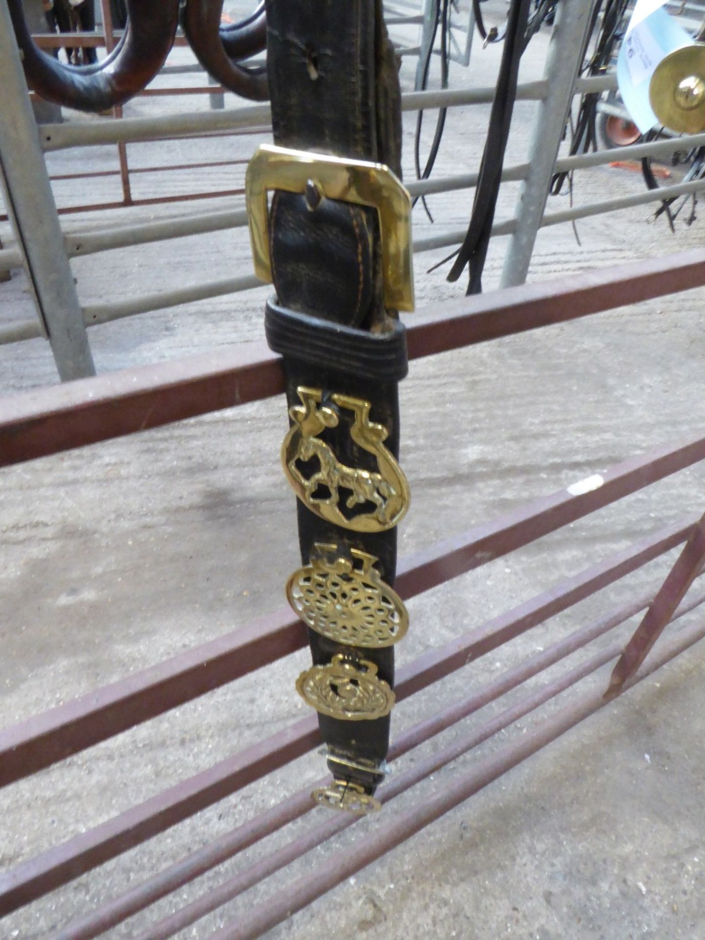 Heavy horse martingale with three horse brasses
