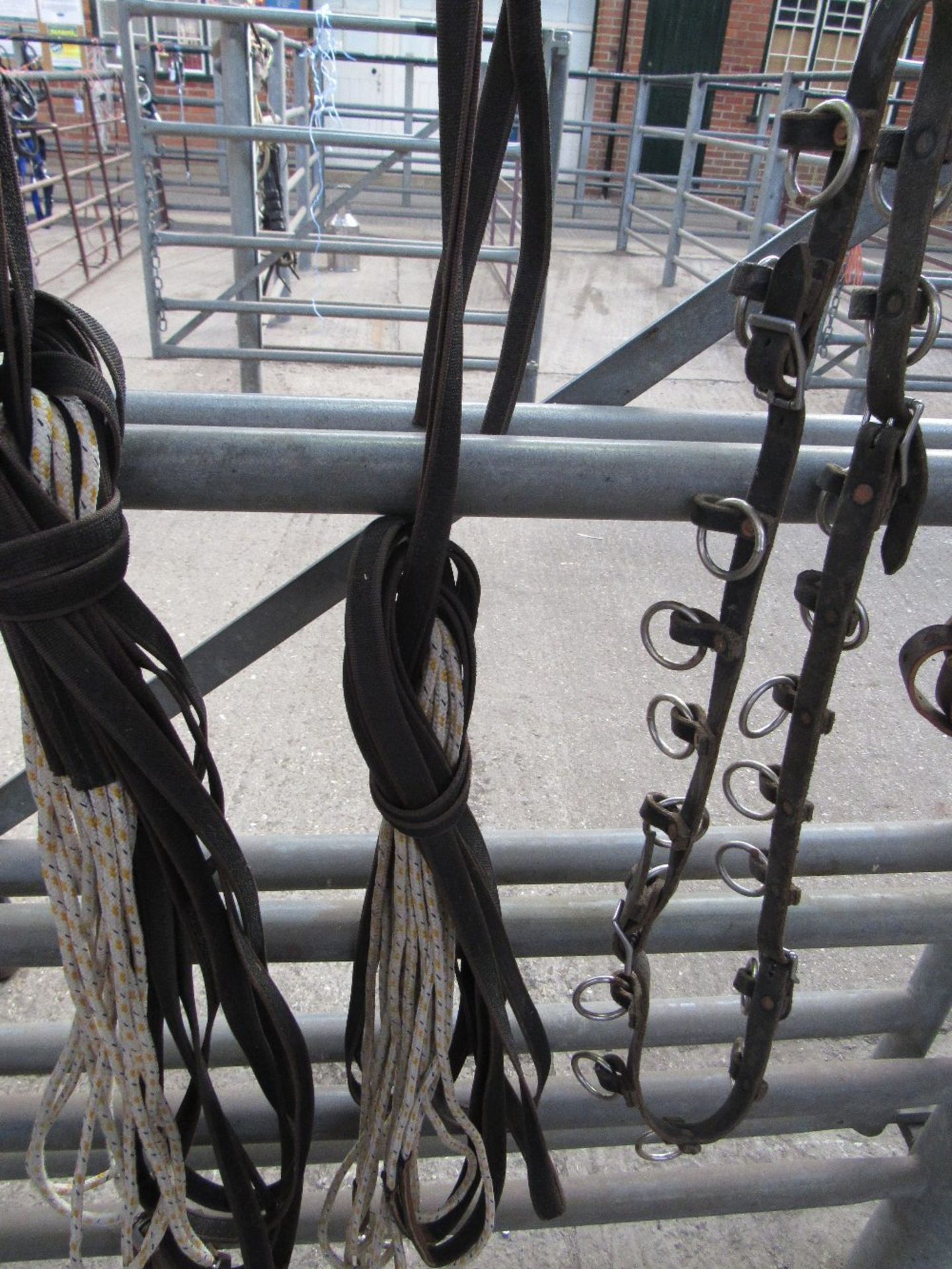 Pair of rubber non-slip long reins