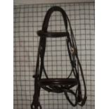 Shire bridle