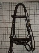 Shire bridle