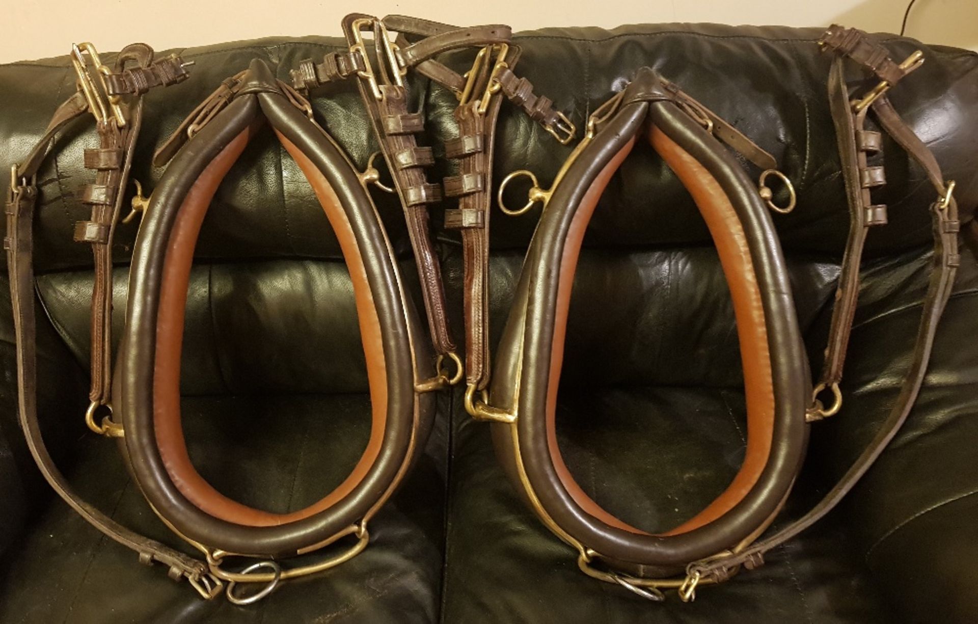 Pair of brown collars with hames, 16.5ins x 8ins