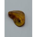 A piece of insect amber, weight 8gms. Estimate £20-40.