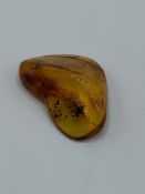 A piece of insect amber, weight 8gms. Estimate £20-40.