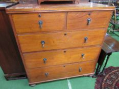 Mahogany 2 over 3 chest of drawers on bun feet. 103 x 50 x 110. Estimate £30-50.