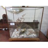 Taxidermy of a Sparrow Hawk and Starling by Colin Denton in a glass case. Estimate £250-280.